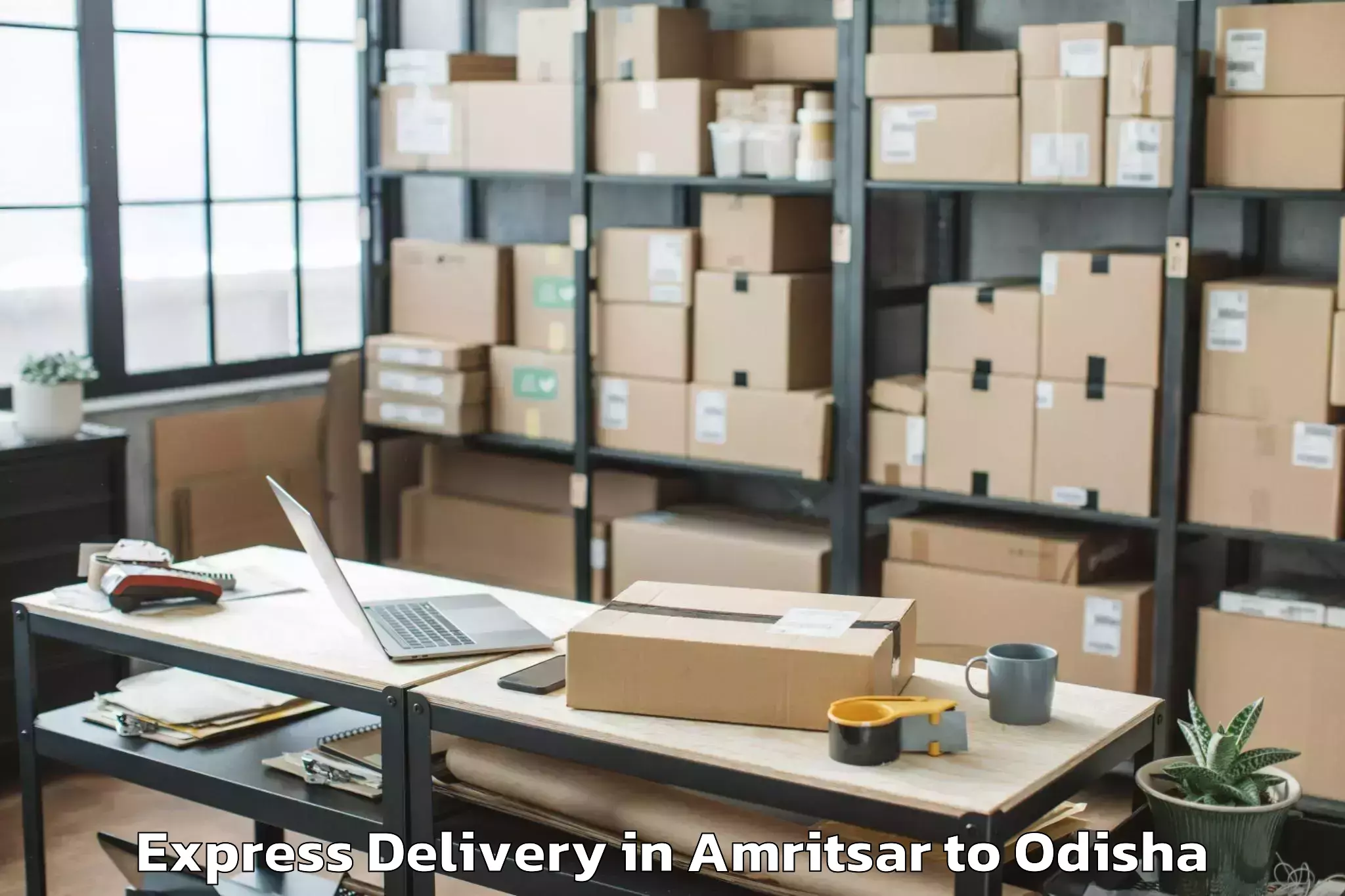 Top Amritsar to Odagaon Express Delivery Available